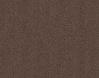 [1001111123_15] Tessera basis pro - 4384 sable